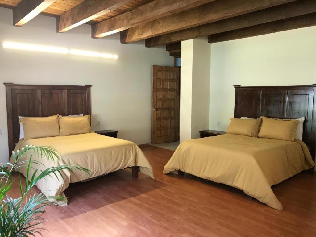 Cortijo La Casona & Bungalow Al Pie De La Montana San Cristóbal de Las Casas Екстериор снимка